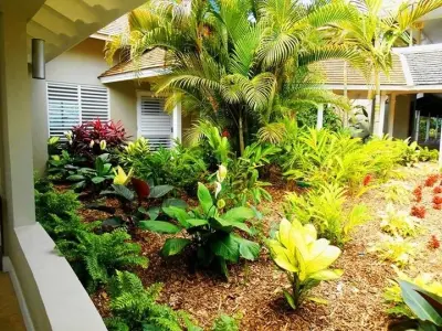 Sunset Oasis, Jamaica — Landscape Design project by Caribbean Botanical Designs