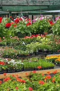 NeSmith - Landscape Design in Thomasville, GA