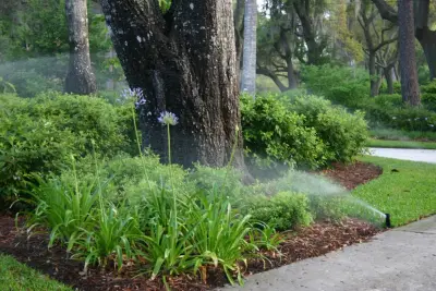 Lawnscapes, Inc. - Design-Build Services in Panama City, FL