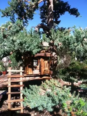 Color Your World LLC - Landscape Construction in Las Cruces, NM
