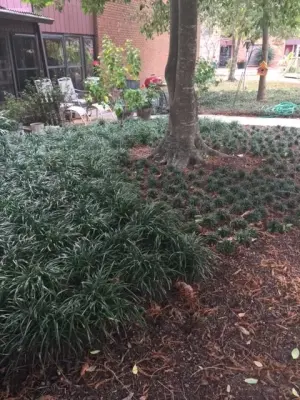 Rice-Landscape Design - Landscape Design in Shreveport, LA