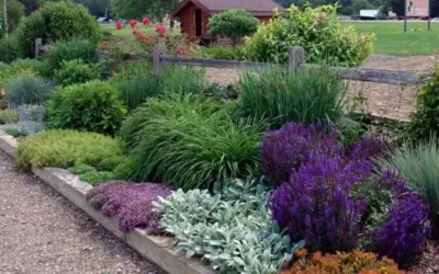 East Wind Landscape Nursery - Landscape Construction in Belmont, NY