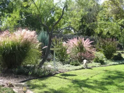 Petal & Leaf Landscape Design - Landscape Design in Woodward, OK