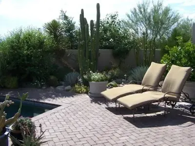 Harlow Gardens - Landscape Design in Tucson, AZ