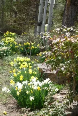 Klaver Landscaping Inc. - Pest Control Services in Bend, OR