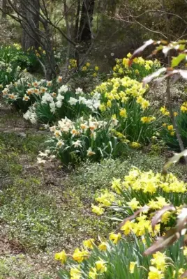 Klaver Landscaping Inc. - Pest Control Services in Bend, OR