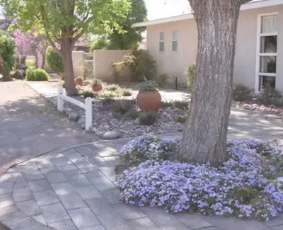 Mesilla Garden Co. - Architectural & Building Design Services in Las Cruces, NM