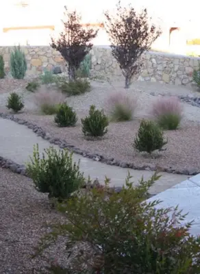 Access Points — Landscape Design project by Mesilla Garden Co.