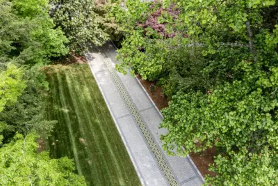 Seeds of Change Landscaping and Lawn Care - Tree & Shrub Care in Knoxville, TN