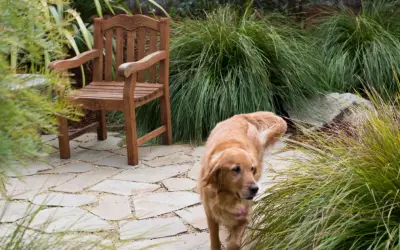 Blue Door Garden Design, Inc. - Architectural & Building Design Services in Carmel, CA