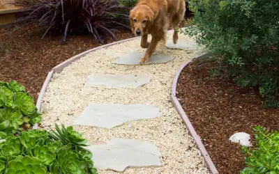 Blue Door Garden Design, Inc. - Architectural & Building Design Services in Carmel, CA