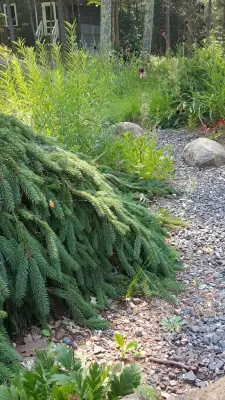 Sylvan Design - Landscape Design in La Pointe, WI