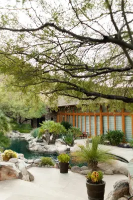 Boxhill - Landscape Construction in Tucson, AZ