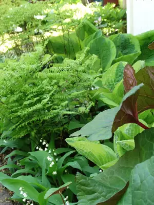 A J Miller Landscape Architecture PLLC - Architectural & Building Design Services in Syracuse, NY