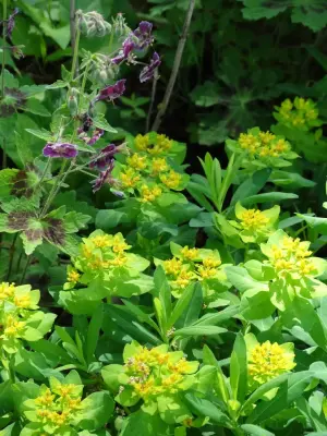 A J Miller Landscape Architecture PLLC - Architectural & Building Design Services in Syracuse, NY