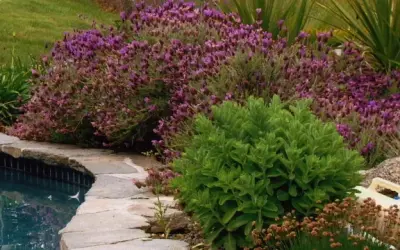 Grounds Guys of the Rogue Valley - Tree & Shrub Care in Grants Pass, OR