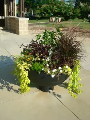 Containers and Vases — Landscape Design project by MRC Landscape Architecture