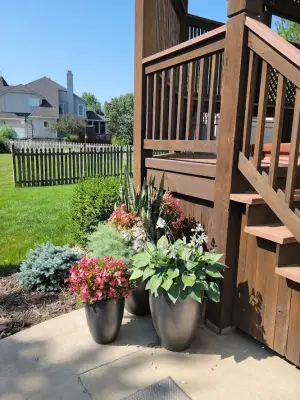 Containers and Greenery — Landscape Design project by Creative Outdoor Spaces