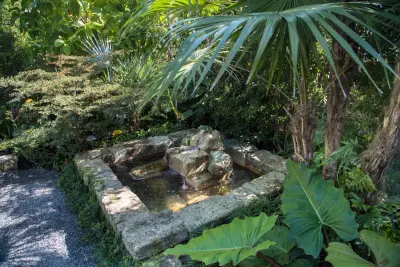 compact garden — Landscape Design project by Craig Reynolds Landscape Architecture