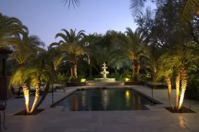 Poolside Illumination, Palm Tree Planting & Brick Paver Deck Installation — Landscape Design project by Allgood Outdoor Services Inc