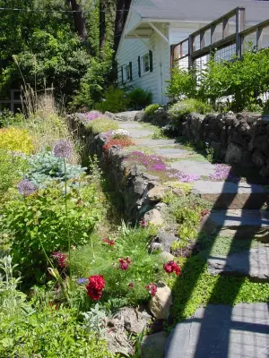 Residential Project Five — Landscape Design project by SPVV Landscape Architects