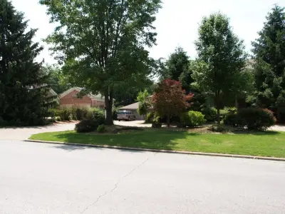 frankZdesign, LLC - Landscape Construction in Springfield, MO