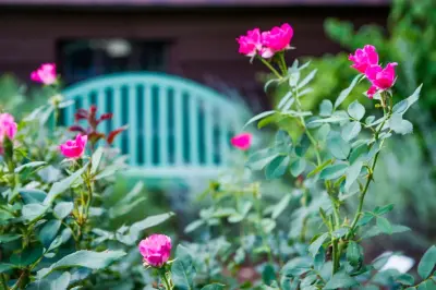 DK Design - Landscape Construction in Fayetteville, AR