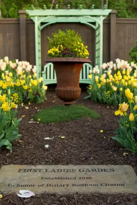 Project Five — Landscape Design project by DK Design