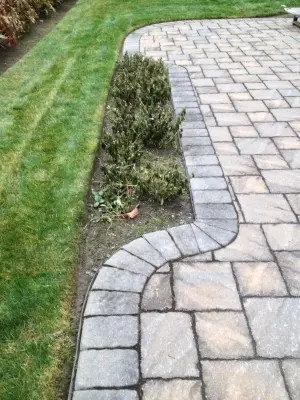 Back Patio with Steps — Landscape Design project by Arborcare Landscape Services & Products, LLC.
