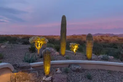 Sonoran Dreams Landscape LLC - Landscape Design in Oro Valley, AZ