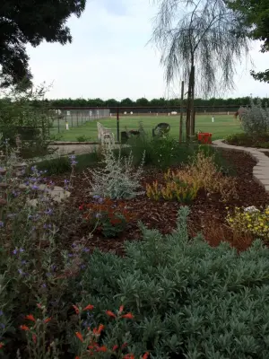 Quercus Landscape Design - Landscape Design in Springville, CA