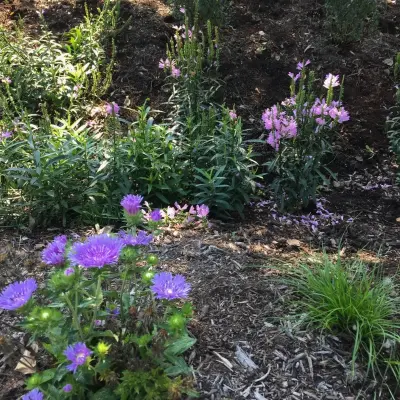 Gardner Monaco Design - Landscape Design in Knoxville, TN