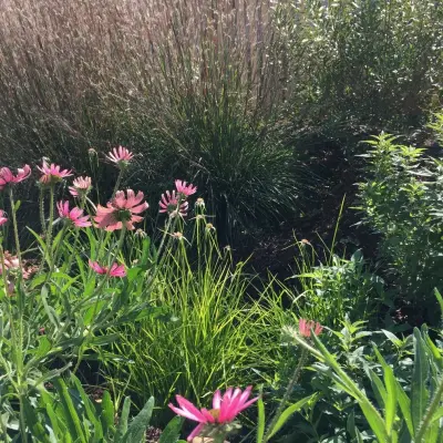 Gardner Monaco Design - Landscape Design in Knoxville, TN