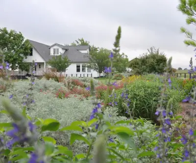 SITE AND CITY design laboratory - Landscape Construction in Fayetteville, AR