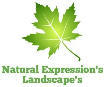 Natural Expressions Tree and Landscaping - Tree & Shrub Care in Binghamton, NY