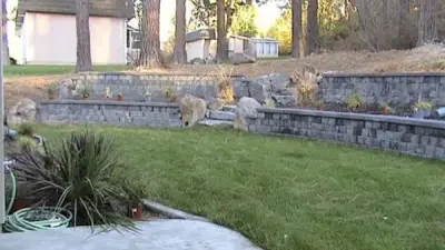 Pro Vision Landscape Construction - Landscape Construction in Spokane, WA