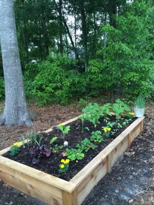 Custom Garden Company - Landscape Design in Brooklet, GA