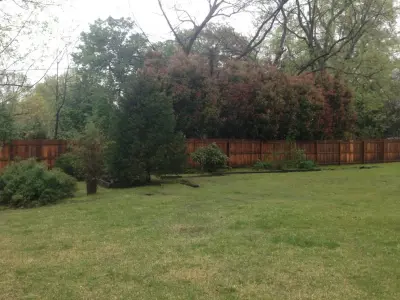 Enigma Renovation — Landscape Design project by Solo Landscape