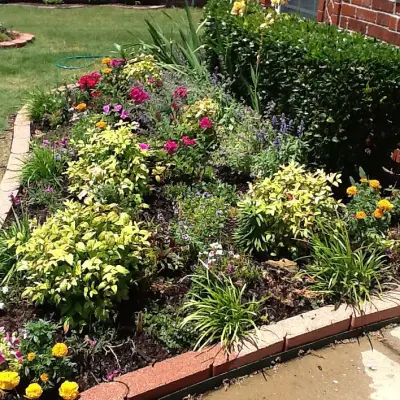 White Landscape Design - Tree & Shrub Care in Fayetteville, AR