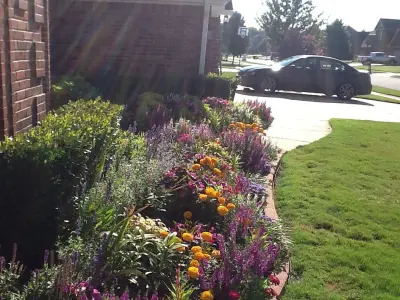 Ruth Advisory — Landscape Design project by White Landscape Design