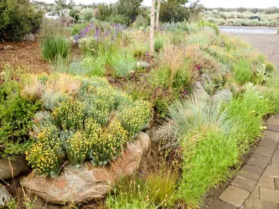 River School Farm - Landscape Construction in Reno, NV