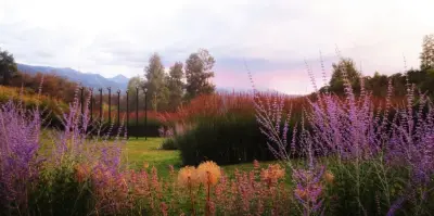 Lift Studio | Landscape Architecture - Landscape Design in Aspen, CO