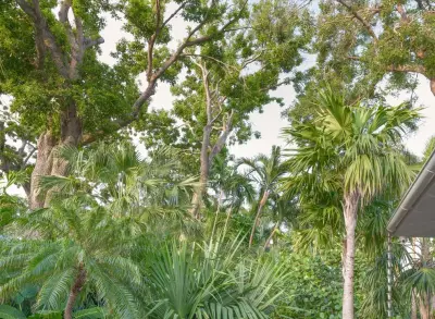 Hidden Oasis — Landscape Design project by Craig Reynolds Landscape Architecture