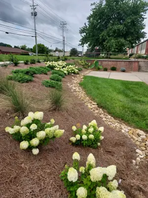 Seeds of Change Landscaping and Lawn Care - Tree & Shrub Care in Knoxville, TN