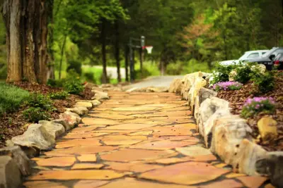 Seeds of Change Landscaping and Lawn Care - Tree & Shrub Care in Knoxville, TN