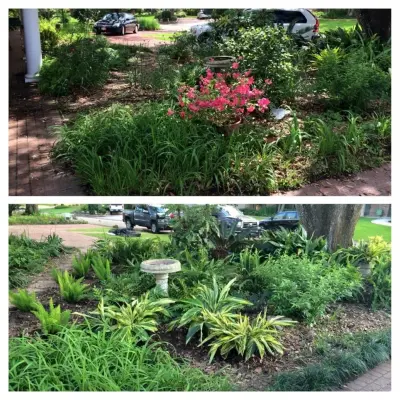 Secret Garden — Landscape Design project by Megan Montgomery Design