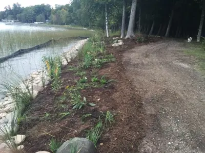 North By Nature Landscapes - Tree & Shrub Care in Petoskey, MI