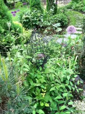 JM Designs - Landscape Design in West Sand Lake, NY