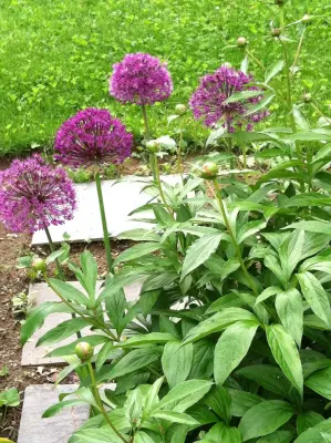 JM Designs - Landscape Design in West Sand Lake, NY
