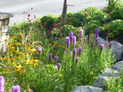Horizon View — Landscape Design project by Teton Gardens